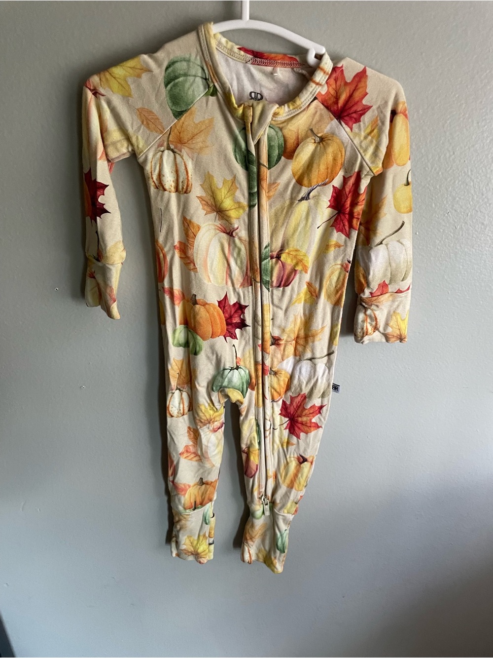 3/6 Months Bums and Roses Fall Pumpkin Leaf Zippy